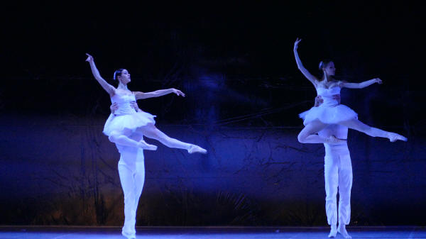 Balletto di Milano 2019 Lago dei cigni al Nuovo
