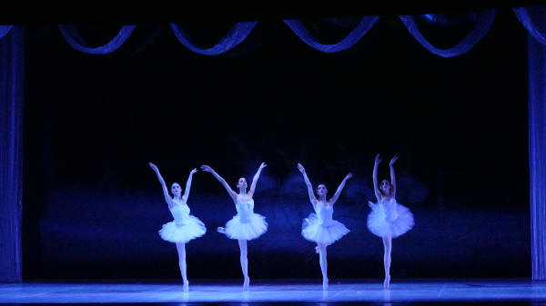 Balletto di Milano 2019 Lago dei cigni al Nuovo