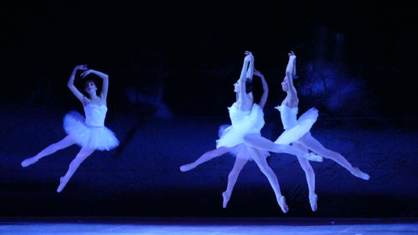 Balletto di Milano 2019 Lago dei cigni al Nuovo