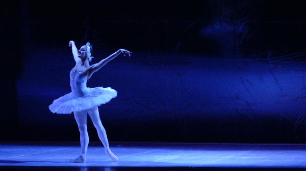Balletto di Milano 2019 Lago dei cigni al Nuovo