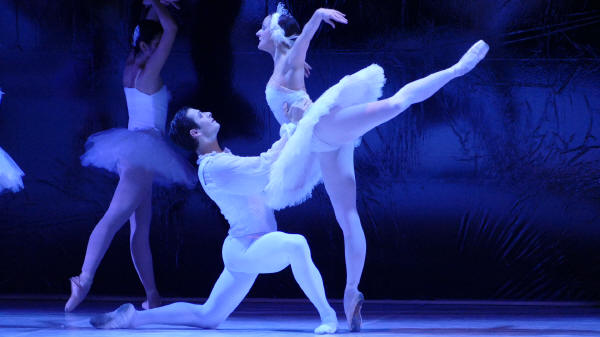 Balletto di Milano 2019 Lago dei cigni al Nuovo