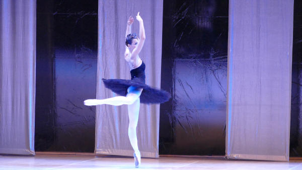 Balletto di Milano 2019 Lago dei cigni al Nuovo