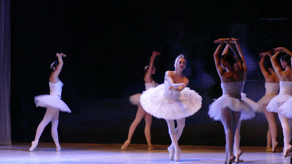 Balletto di Milano 2019 Lago dei cigni al Nuovo