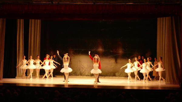 Lago dei cigni Teatro Nuovo