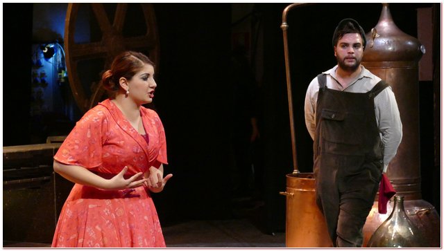 Opera Domani Aslico Elisir d’Amore