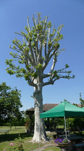 Cascina Pa Rosate Carmen Morosini