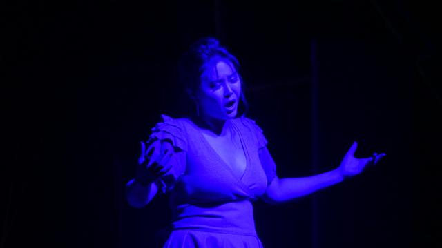 Traviata 2019 Castello Sforzesco Vigevano