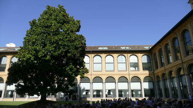 Pomeriggi Stelline Bonato Gibboni