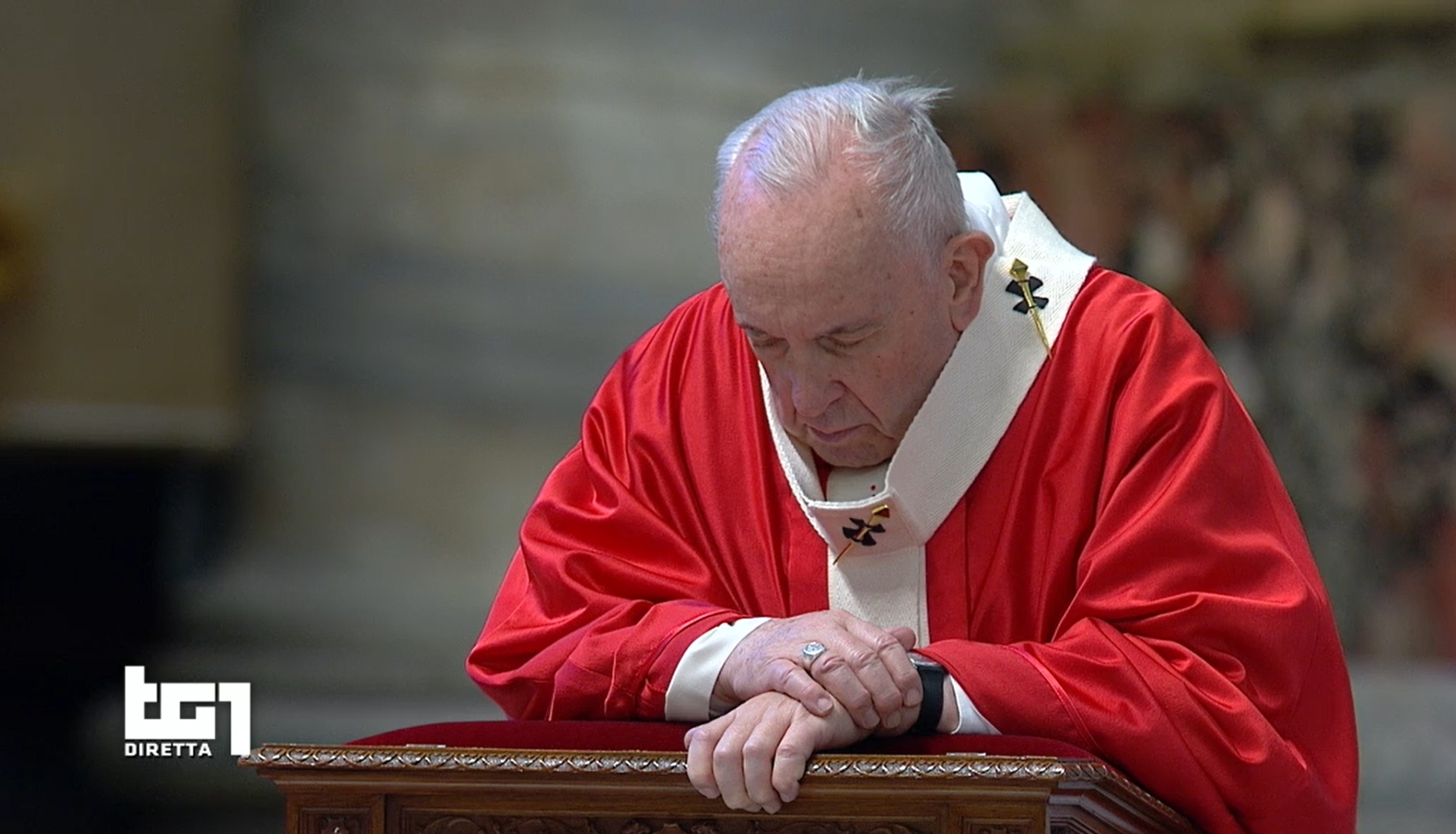 Le Palme di Papa Francesco