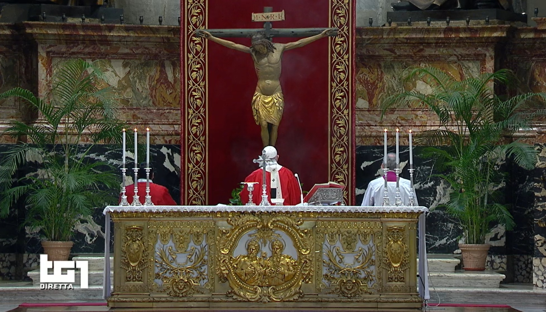 Le Palme di Papa Francesco