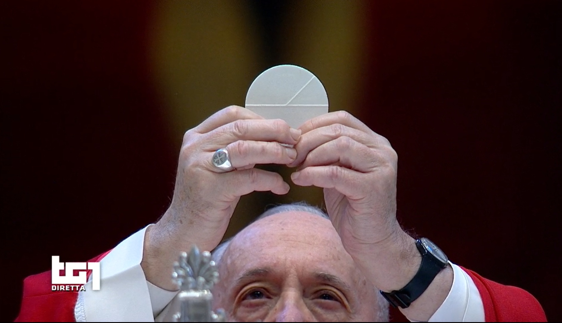 Le Palme di Papa Francesco