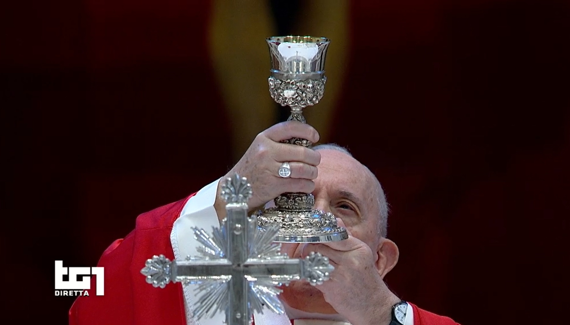 Le Palme di Papa Francesco