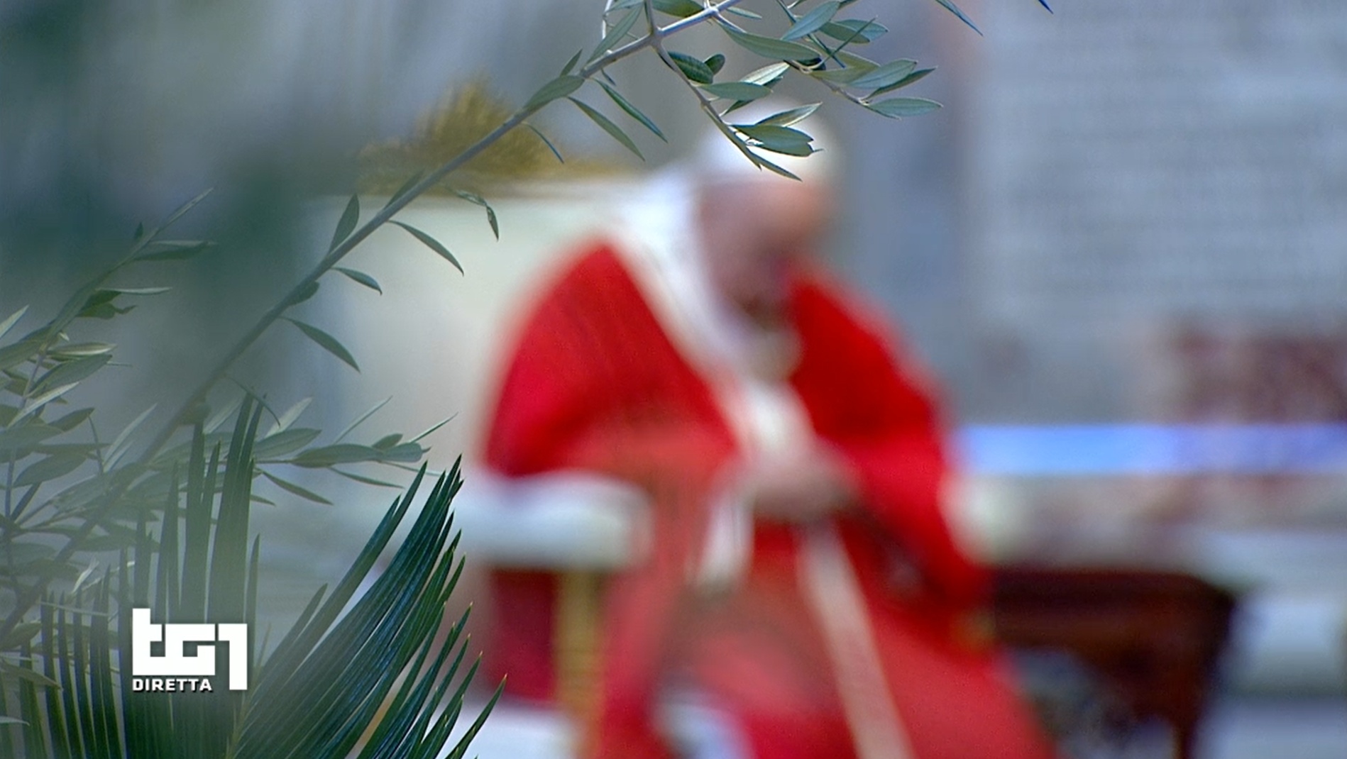 Le Palme di Papa Francesco