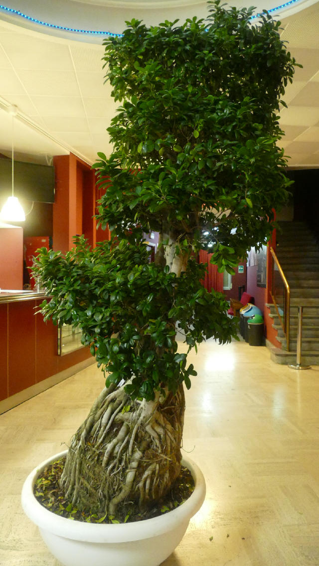 Ecoteatro presentazione stagione