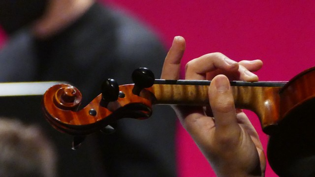 Magenta Totem Orchestra Vivaldi Micol Costa