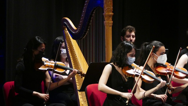 Magenta Totem Orchestra Vivaldi Micol Costa