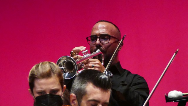 Magenta Totem Orchestra Vivaldi Micol Costa