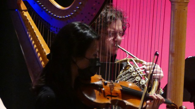 Magenta Totem Orchestra Vivaldi Micol Costa