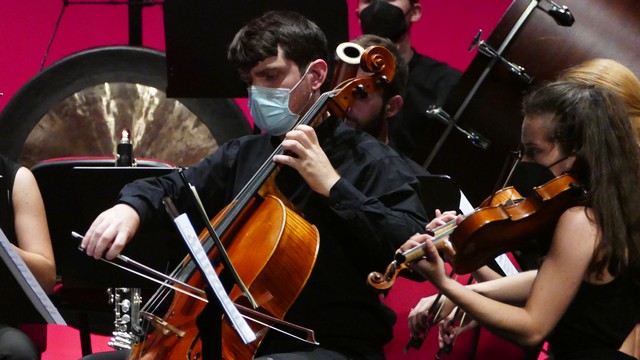 Magenta Totem Orchestra Vivaldi Micol Costa