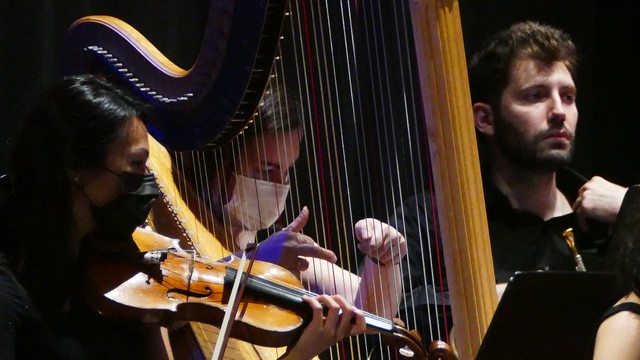 Magenta Totem Orchestra Vivaldi Micol Costa