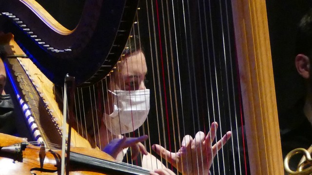 Magenta Totem Orchestra Vivaldi Micol Costa