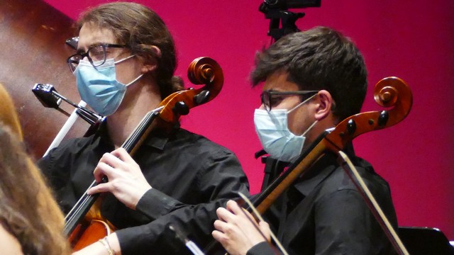 Magenta Totem Orchestra Vivaldi Micol Costa