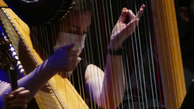 Magenta Totem Orchestra Vivaldi Micol Costa