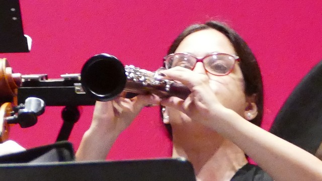 Magenta Totem Orchestra Vivaldi Micol Costa