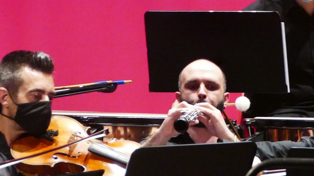 Magenta Totem Orchestra Vivaldi Micol Costa