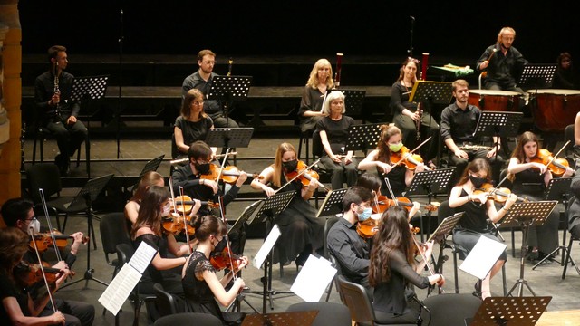 Beethoven Inaspettato Borromeo Fraschini