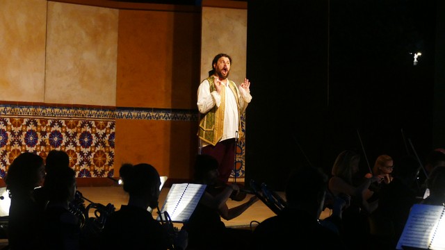 Barbiere di Siviglia Sannazzaro