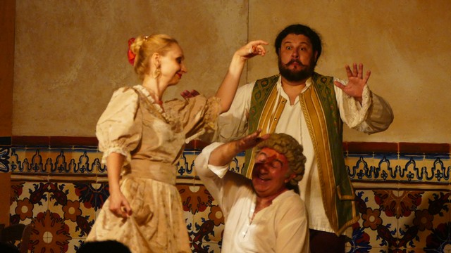 Barbiere di Siviglia Sannazzaro