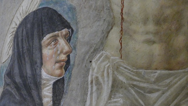 Pavia Chiesa del Carmine