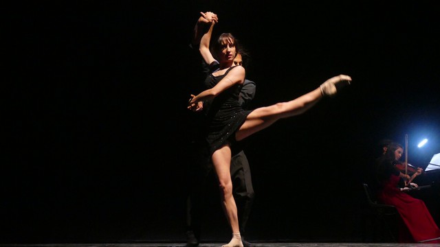 Novara Coccia Tango Castello