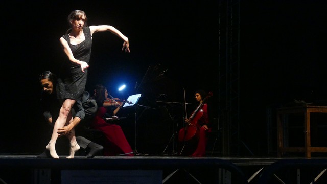Novara Coccia Tango Castello