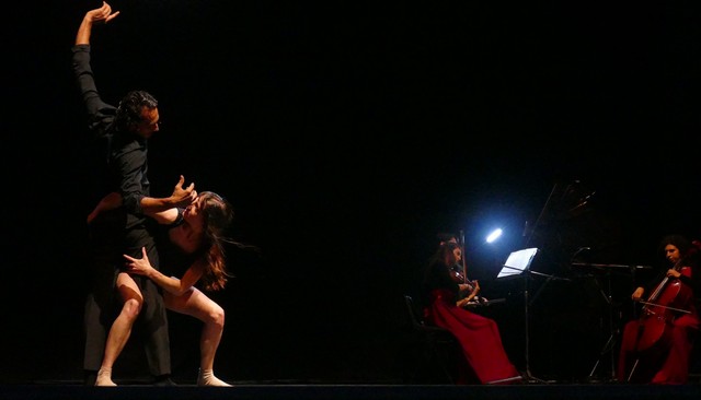 Novara Coccia Tango Castello