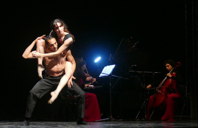 Novara Coccia Tango Castello