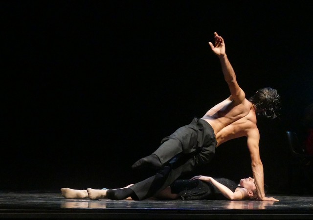 Novara Coccia Tango Castello