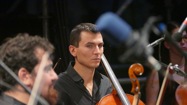 Borromeo Castello Pavia Francesco Manara