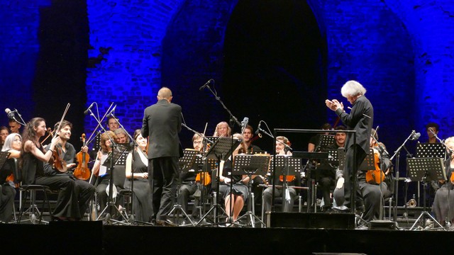 Borromeo Castello Pavia Francesco Manara