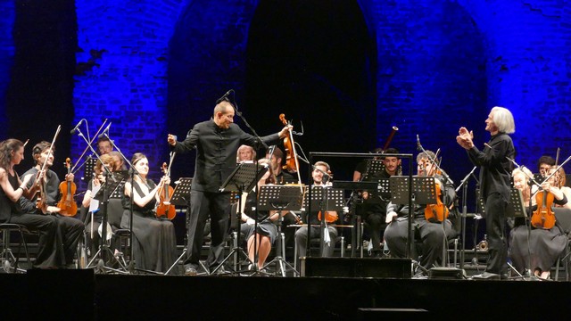 Borromeo Castello Pavia Francesco Manara