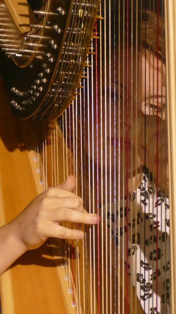Marco Visconti Rosate
