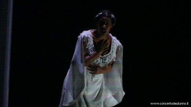 Coccia Barbablu Mastroni