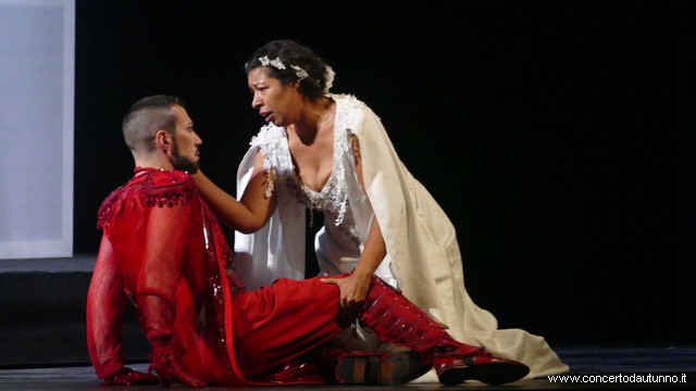 Coccia Barbablu Mastroni