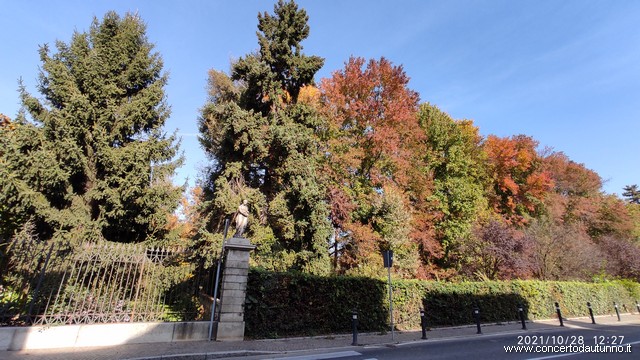 Gravellona Lomellina
