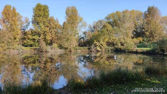 Gravellona Lomellina