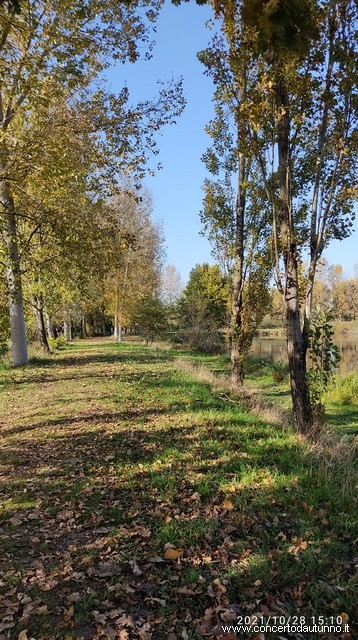 Gravellona Lomellina