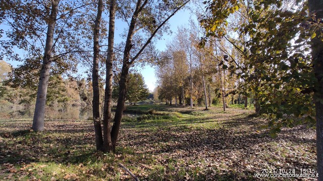 Gravellona Lomellina
