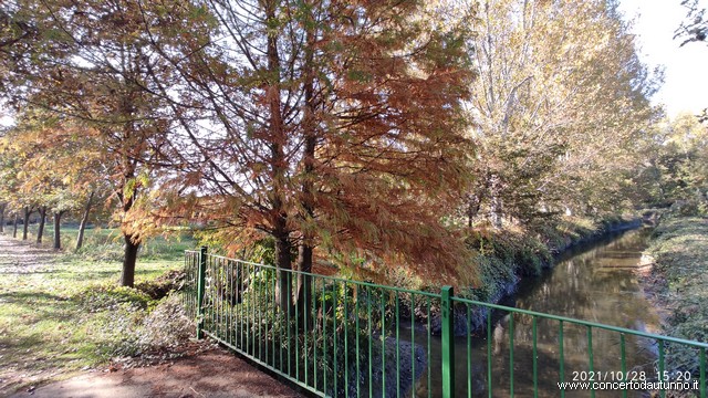 Gravellona Lomellina
