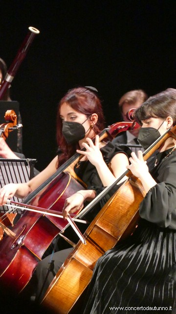Cantelli Coccia